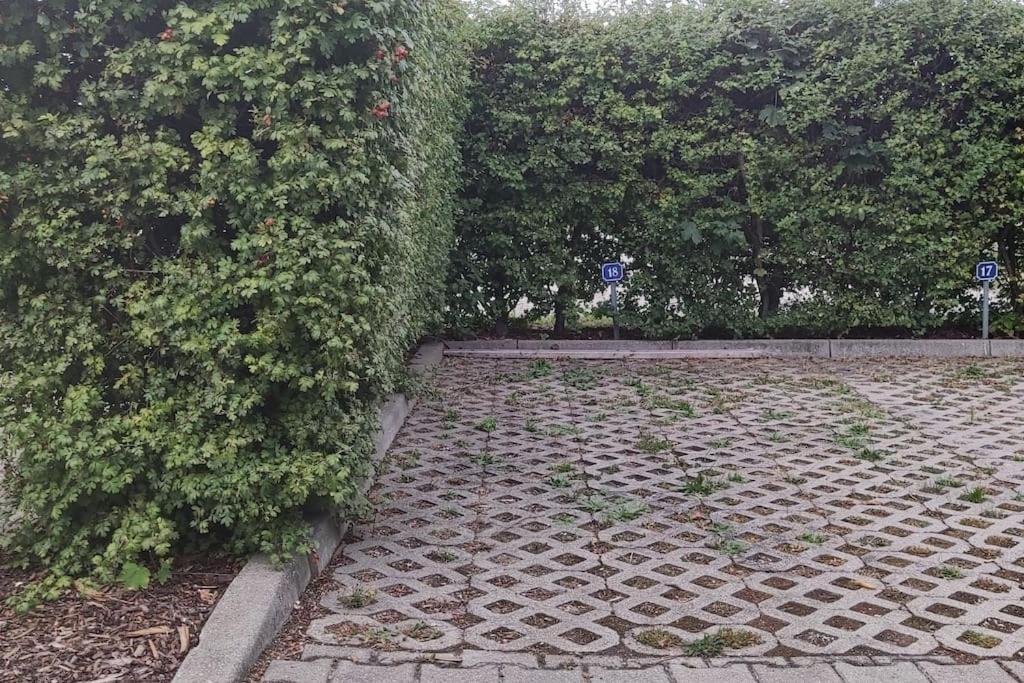 Apartment - Seensucht Am Zwenkauer Zwenkau